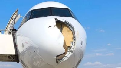 Pesawat Iberia Terpaksa Mendarat Darurat Akibat Tabrakan dengan Burung
