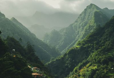 17 Caption Singkat tentang Lembah: Estetik, Dalam, dan Bikin Feed Makin Keren