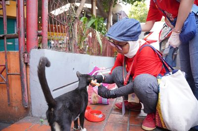 Rayakan Hari Kucing Sedunia, Kucingku Ajak Karyawan dan Komunitas Peduli Kucing Jalanan
