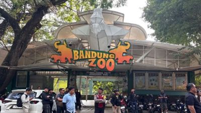YMT: Pendapatan Bandung Zoo Seharusnya Cukup untuk Biaya Perawatan Satwa