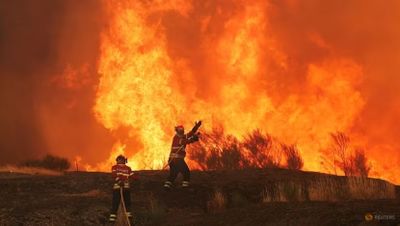 Gelombang Panas dan Angin Kencang Picu Kebakaran Hutan Hebat di Eropa Selatan