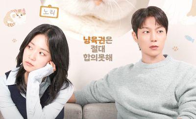Sinopsis The Catstody War , Drakor Terbaru tvN soal Rebutan Hak Asuh Kucing