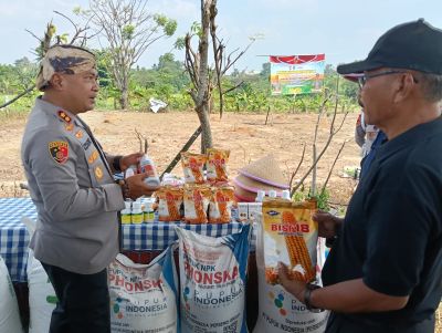Polres Serang Kembali Tanam Jagung Seluas 2 Hektar Di Kuartal Ke II