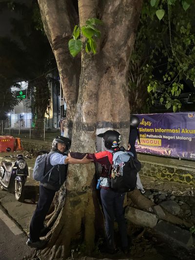 Aksi Peluk Pohon di Malang, WALHI Jatim Protes Rencana Penebangan untuk Proyek Drainase