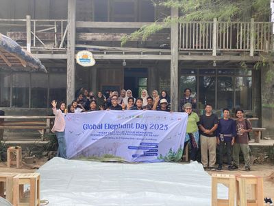Sophie s Sunset Library Rayakan Hari Gajah Sedunia dengan Cara Unik