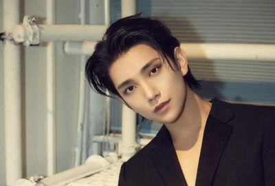 Joshua SEVENTEEN Kolaborasi Bareng Dylan Matthew, Hasilkan Versi Baru Love Is Gone