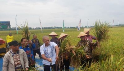 Kejati Lampung Kawal Pupuk Subsidi Sampai ke Petani
