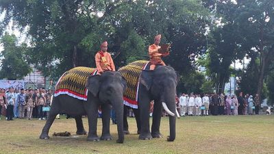 Pesan Harmoni Alam, Dua Gajah Dampingi Upacara HUT RI ke-80 di Riau