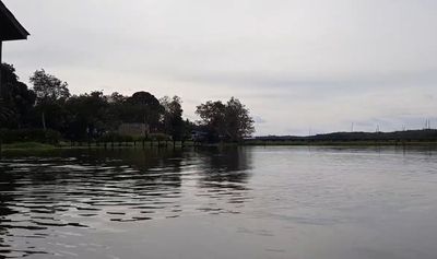 Danau-danau Estetik di Kalimantan Selatan: Surga Tersembunyi untuk Spot Foto Ikonik