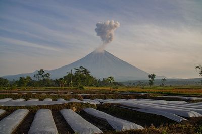 Dalam 6 Jam, Gunung Semeru Sudah Alami 23 Kali Gempa Letusan!