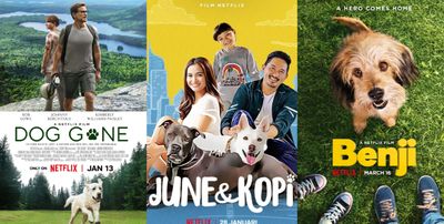 5 Rekomendasi Film tentang Anjing di Netflix, Bikin Haru dan Menghangatkan Hati