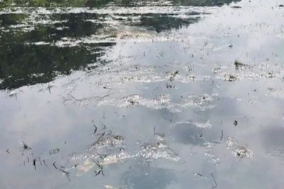 Pipa Minyak PT Vale di Luwu Timur Bocor, Tumpahan Mengalir ke Irigasi Cemari Sawah Warga