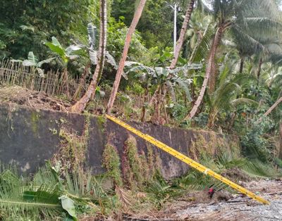 Petugas PLN Loncat dari Tangga Setelah Potong Ranting Pohon di Desa Larike Maluku Tengah, Ini Penyebabnya