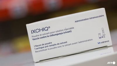 AS Hentikan Vaksin Chikungunya Ixchiq Karena Efek Sampingnya Serius