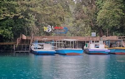 Danau Labuan Cermin Pesona Dua Rasa Air di Kalimantan Timur
