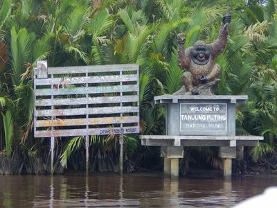 7 Wisata Alam Terbaik di Pulau Kalimantan: Surga Tersembunyi dengan Keajaiban Rimba