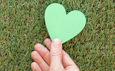 17 Ide Bio Instagram Pecinta Warna Hijau yang Bikin Feeds Seger