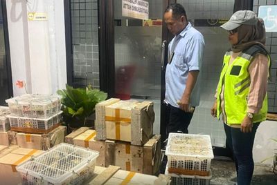 Petugas Karantina dan BBKSDA Sulsel Gagalkan Penyelundupan 178 Satwa Dilindungi di Pelabuhan Makassar