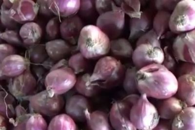 Pasokan Terbatas, Harga Bawang Merah di Kuala Tungkal Tak Stabil dalam Tiga Minggu Terakhir