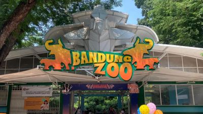 Gugat Pemkot hingga Kemenhut, Terdakwa Korupsi Bandung Zoo Tuntut Hak Kelola