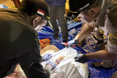 Karantina Lampung Gagalkan Pengiriman Ilegal 3 Ton Daging Ayam
