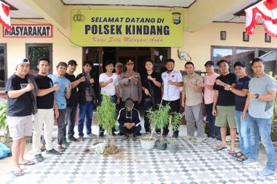 Polisi Bongkar Bisnis Ganja di Bulukumba, Pelaku Belajar Tanam dari YouTube lalu Jualan di Instagram