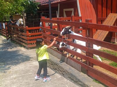 Piataland, Destinasi Super Asyik di Tengah Kota Bareng Buah Hati