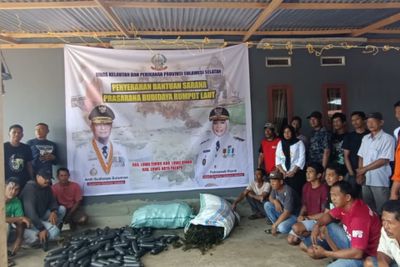 Pemprov Sulsel Perkuat Ekonomi Biru, 2.000 Paket Bibit Rumput Laut Disalurkan ke Luwu Raya