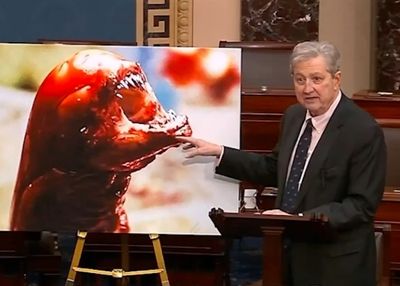 Senator AS Sebut Udang Indonesia Bisa Bikin Manusia Jadi Alien