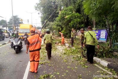 Antisipasi Bahaya, Petugas Pangkas Pohon Rindang di Jalan Raya Bogor
