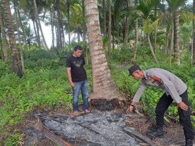 Cekcok Rumah Tangga Berujung Tragis, Warga Aceh Utara Nekat Bakar Diri