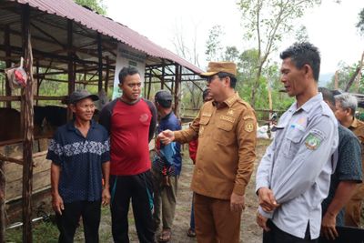 Tingkatkan Kesejahteraan Peternak, Bupati Beltim Serahkan 12 Sapi Bantuan APBD II untuk Kelompok Ternak Mang Jaya