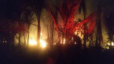 2 Lokasi di Aceh Terbakar, BPBA: Lahan Rumbia & 4 Rumah Warga Dilahap Api