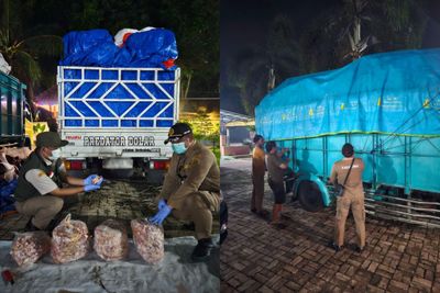 Produk Hewan Ilegal Dihentikan, 10,8 Ton Ceker Ayam Diamankan di Bakauheni