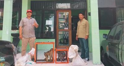 Ragam Kisah Enam Satwa Liar di Madiun yang Diserahkan ke BBKSDA Jawa Timur