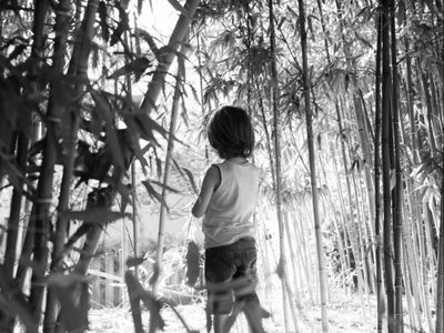 Kisah Mistis Bocah Hilang di Kebun Bambu: Pulang Bawa Teman Tak Kasat Mata