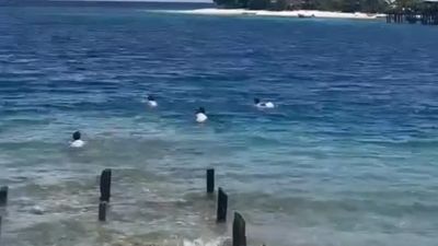 Sedih! Pelajar di Morotai Berenang Menyeberang Laut Demi Pulang ke Rumah