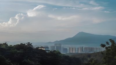 5 Arti Mimpi Melihat Kota di Hutan Menurut Primbon Jawa, Pertanda Apa?