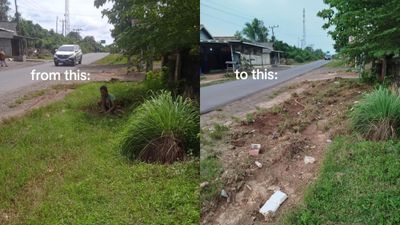 Momen ODGJ 4 Hari Depan Rumah Netizen Ini, Nyabutin Rumput Sampai Bersih