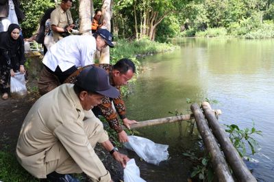 Gandeng Berbagai Pihak, UGM Tebarkan 5000 Bibit Wader Pari di Sungai Baros