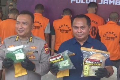 Polda Jambi Ungkap Peranan Pelaku dalam Operasi Antik Siginjai 2025