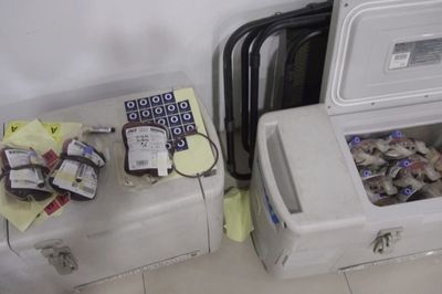 Stok Darah di Gorontalo Masih Minim, Belum Sesuai Standar WHO