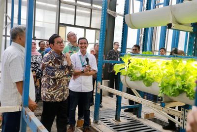 Keren! Ada Ladang Sayur Pertanian Vertikal di Tengah Kota Jakarta, Produksi 2 Ton per Bulan
