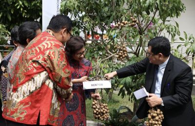 Catat Sejarah Baru di Usia ke-70, Fakultas Biologi UGM Jadi Pusat Unggulan Biologi Tropika Nasional dan Internasional