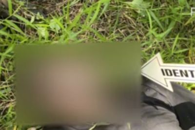 Diduga Karena Riwayat Sakit, Pria Ditemukan Meninggal di Kebun Sawit PT CKT Kuala Tungkal Muara Papalik