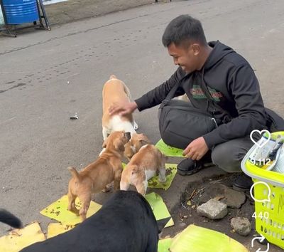 Bikin Takjub, Pemuda Ini Susuri Stasiun hingga Seberangi Lautan demi Beri Makan Anabul Jalanan