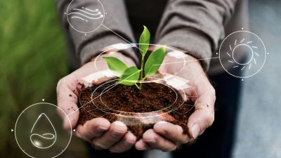Penerapan Circular Economy dalam Pertanian: Solusi Berkelanjutan untuk Indonesia