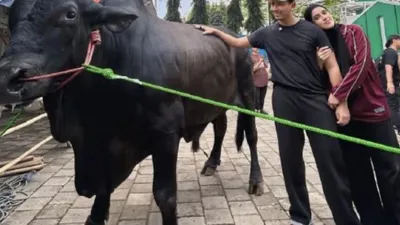Insiden Tak Terduga Menjelang Iduladha
