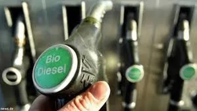 Pemerintah Targetkan Penerapan BBM B50 dan Pembangunan Pabrik Biodiesel di Merauke