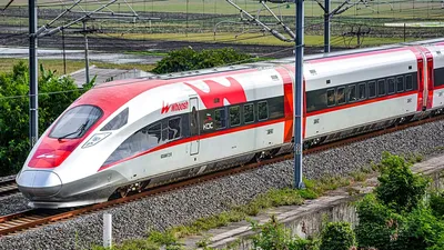 Kereta Cepat Whoosh Tertabrak Biawak, Perjalanan Terlambat Hampir Satu Jam
